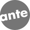 Logo ante-holz Rottleberode GmbH in Berga